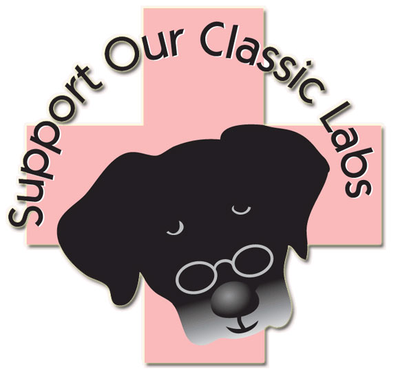 logo for the
agnes fund